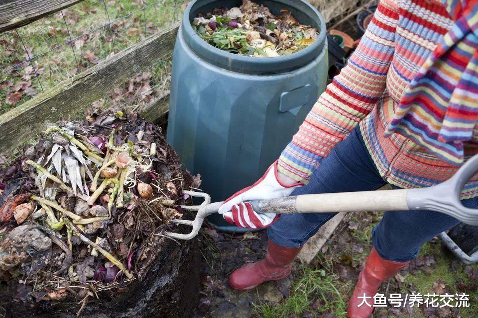 只需要挖一个坑就能制作堆肥, 等几个月就能得到健康的肥土