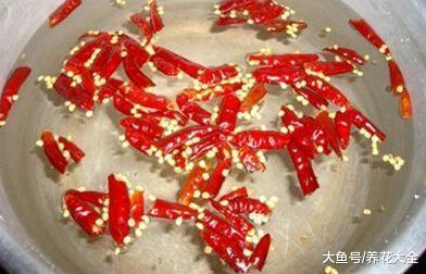 家里的花又招虫了? 学会这一招, 杀虫药不用买!