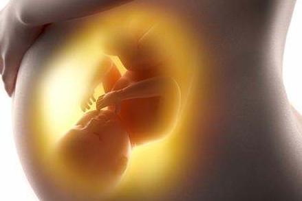 孕妈饿了的时候, 胎宝宝在干什么呢? 答案如此有趣