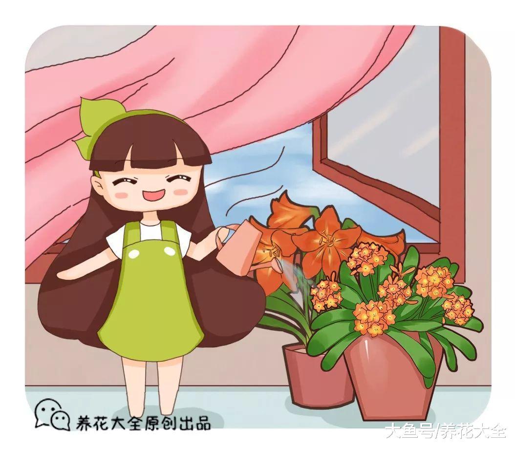 杀虫剂不用买, 水里加点洋葱, 虫子全都死光光!