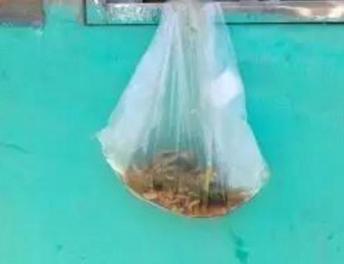 5岁“留守儿童”中午在学校吃饭碗里没有菜, 小女孩一句话, 让亿万网友落泪!