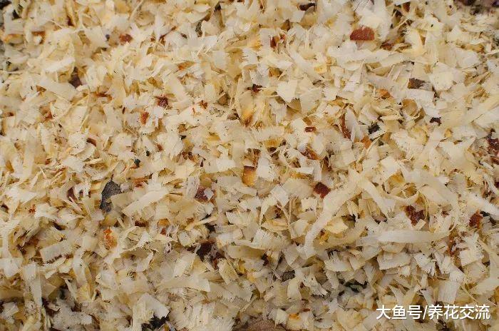 这12种东西放在堆肥里会发臭招虫子, 学会制作健康堆肥的技巧