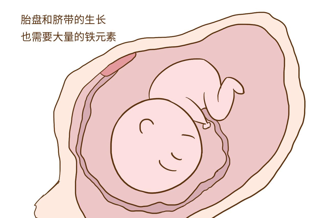 孕期贫血, 一味地食补是没有用的, 你还需要做另一件事