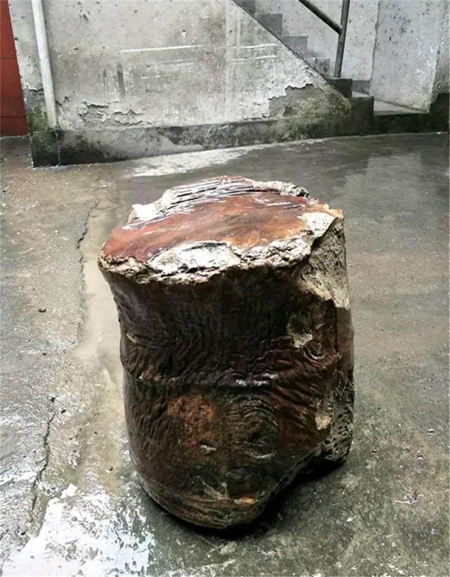 男子去山上砍柴, 被一块像肉的石头绊倒, 搬回家后村民羡慕不已