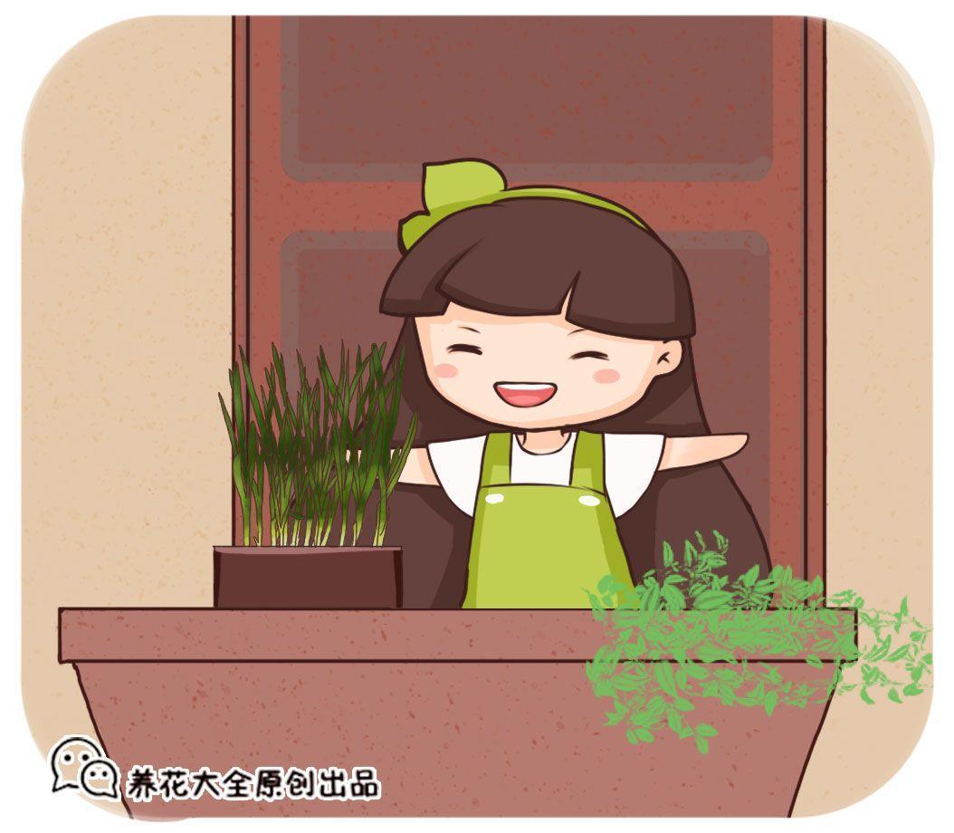 谁说调料别多吃? 这6种排毒养颜, 比中药还好使!