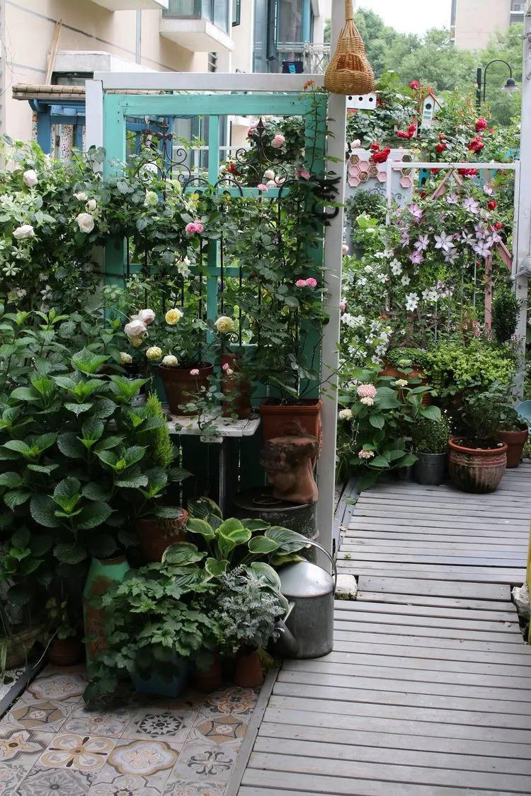 宠妻狂魔, 为妻子打造梦幻花园, 果然是别人家的老公!