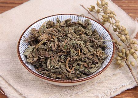 用车前草泡水喝, 身体变化会让你惊喜, 立秋后喝很合适!