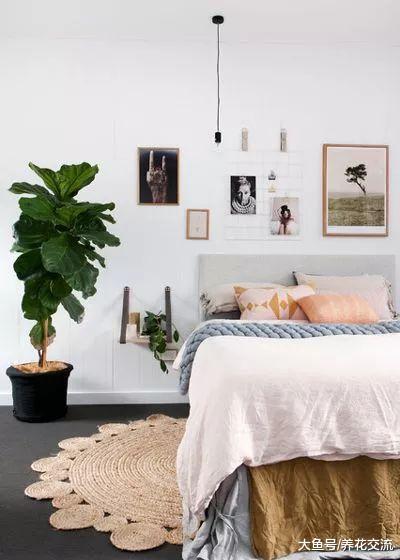 冬季保持室内植物健康的8个技巧, 你都做对了么?