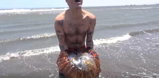 男子发现海滩上出现许多怪异生物, 当他抓起一个之后马上就后悔了