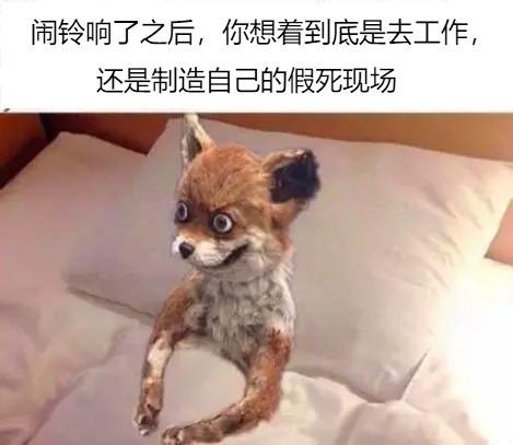 早起使我快乐, 我要每天早起