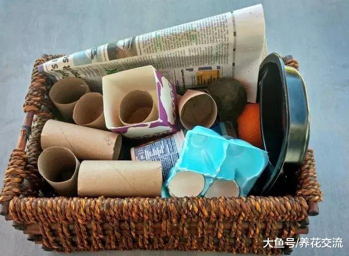 没有育苗盆可以用到这些废弃的材料, 让幼苗健壮生长