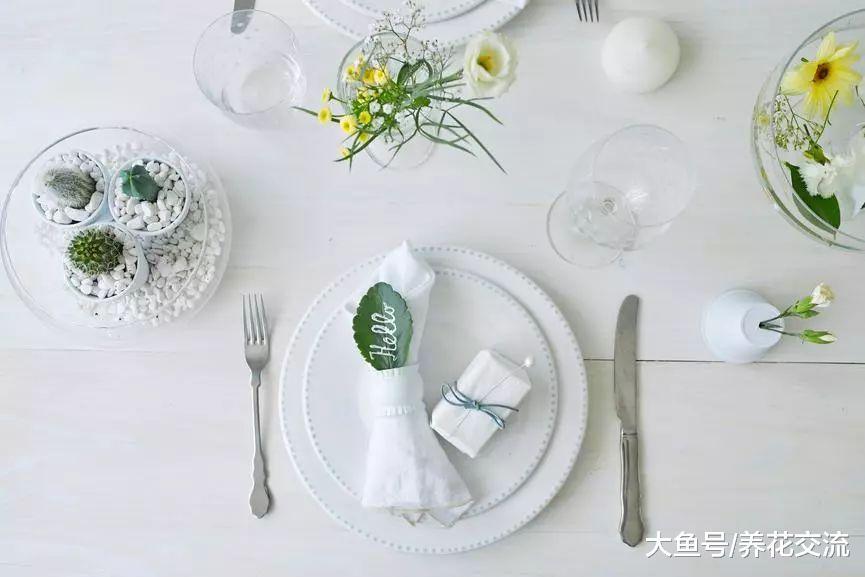 6种适合摆放在桌面上的仙人掌盆栽, 看起来精致可爱的景观