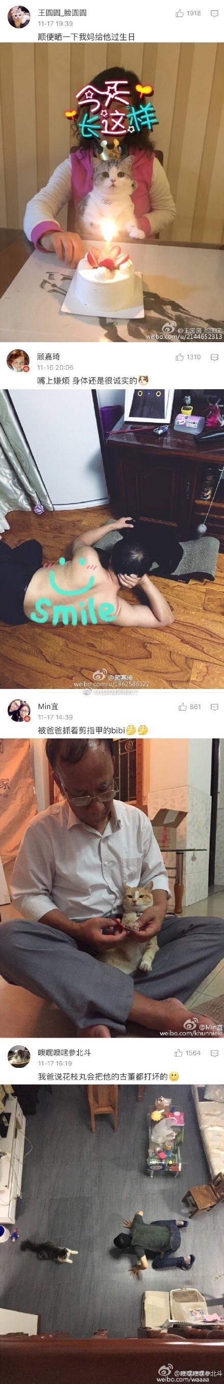 父母一开始不让养宠物, 养了之后爱得不要不要的