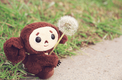 接受这十句话后, 心平静了