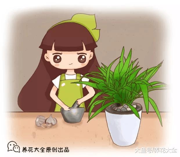 厨房里的太多东西能养花, 关键看你会不会用!