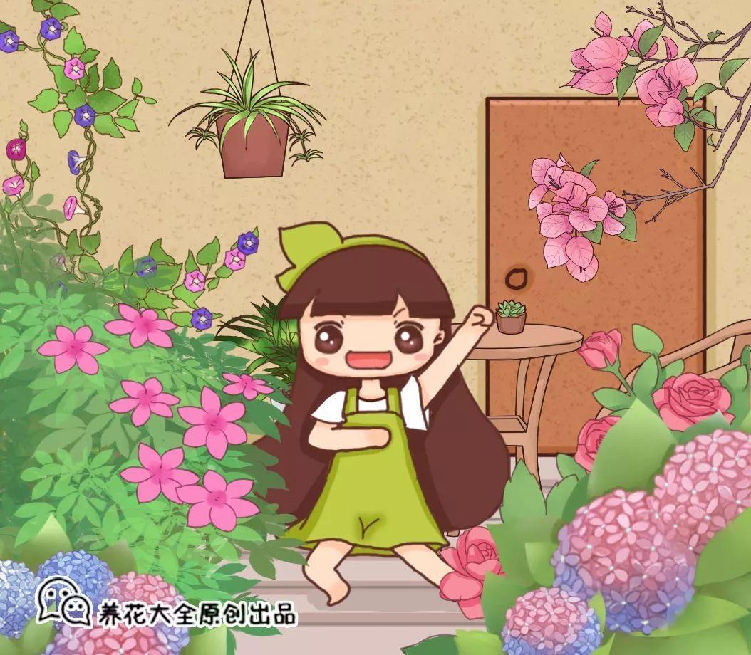 这4种花不能太保暖, 扔外面冻2个月, 来年开花如脸大!