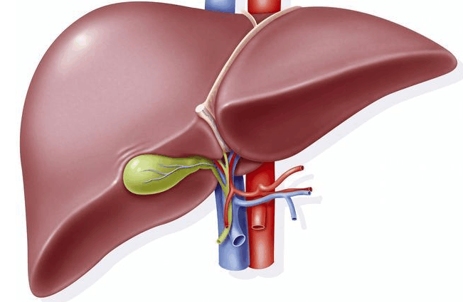 28岁男子皮肤发黄, 肝衰竭离世, 医生提醒: 肝病患者要注意1件事!