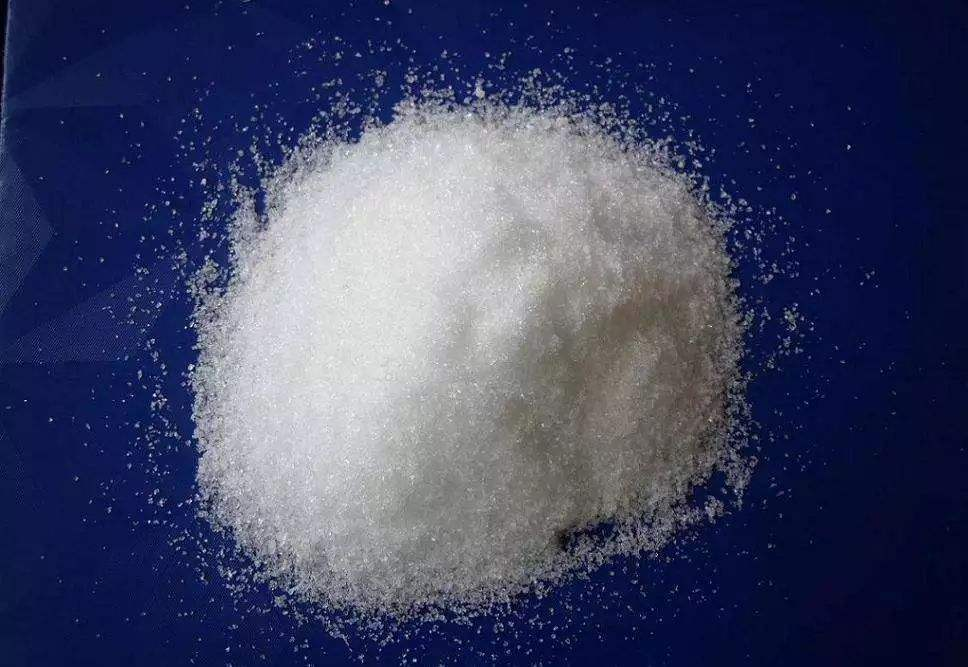 长寿花冬天开不旺? 一星期来碗“开花液”, 花骨朵蹭蹭拦不停!