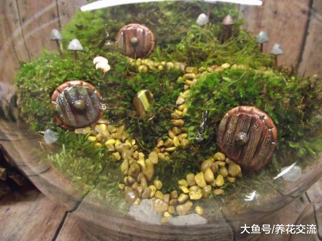 这些植物都能在小瓶子里生长, 家里废旧的玻璃容器都用来养花