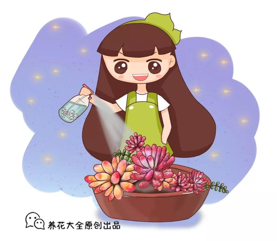 多肉冻冻好上色, 可别太过火, 小心成冻肉!