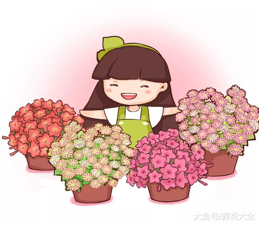 换盆不修根, 等于白换, 想爆盆更是做梦!