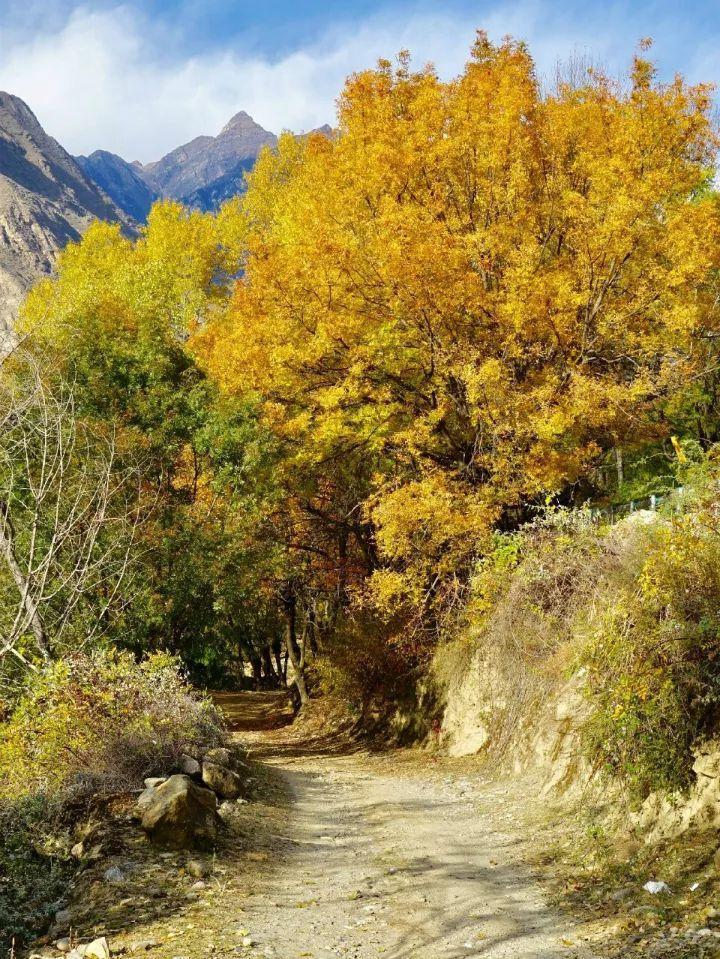 人生下半场, 拼累了, 就歇歇吧