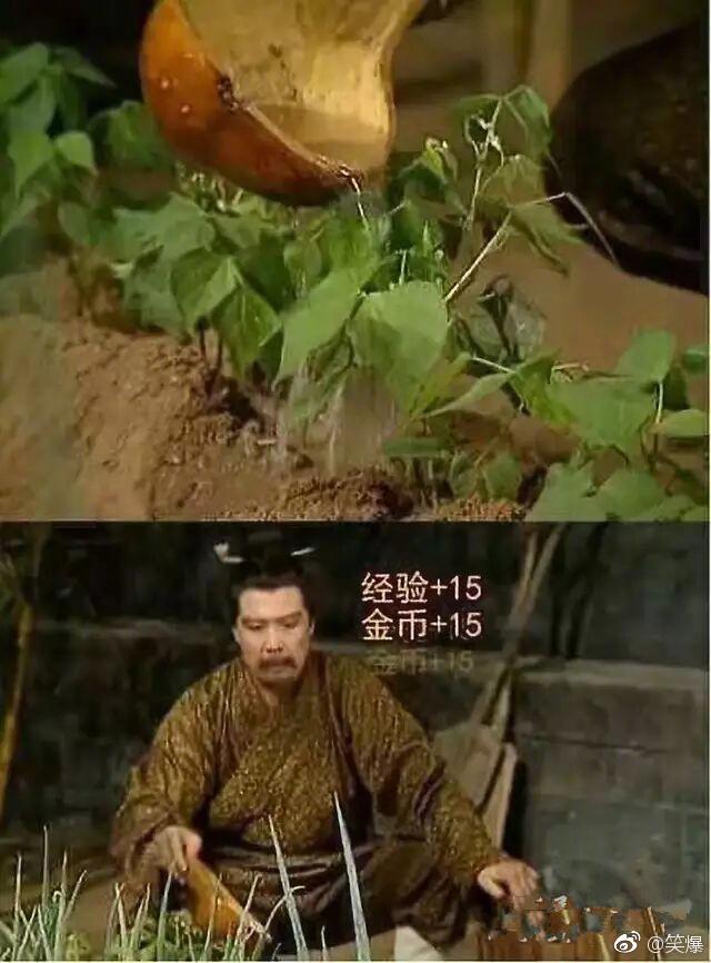 自从有了弹幕, 再也不能好好看剧了