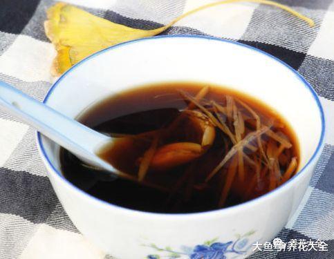 买回的生姜这样一处理, 一小块长一盆, 多到吃不完!
