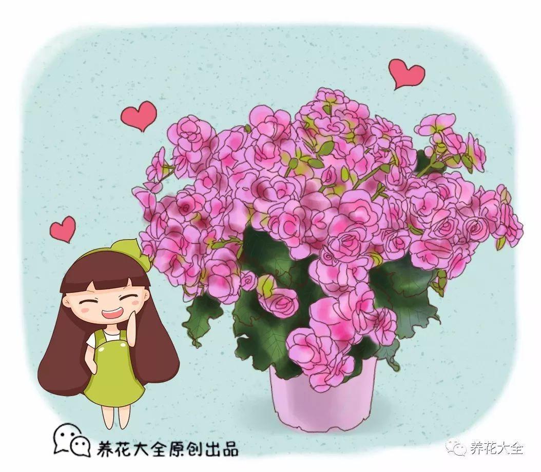 这8种花名字美翻了, 阳台养1盆, 邻居看了都羡慕!