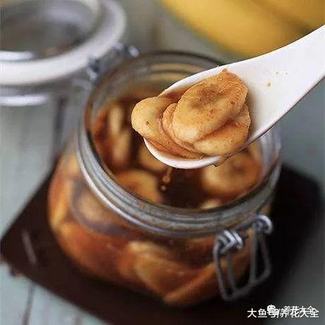 买回的生姜这样一处理, 一小块长一盆, 多到吃不完!