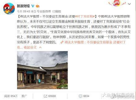 中国政法大学教授胡继晔回应“丁克征税论”: 之前的观点被误读, 丁克家庭可从个税抵扣部分实现“不鼓励”