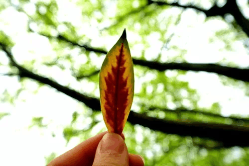 有点拽的霸气短句, 经典个性签名
