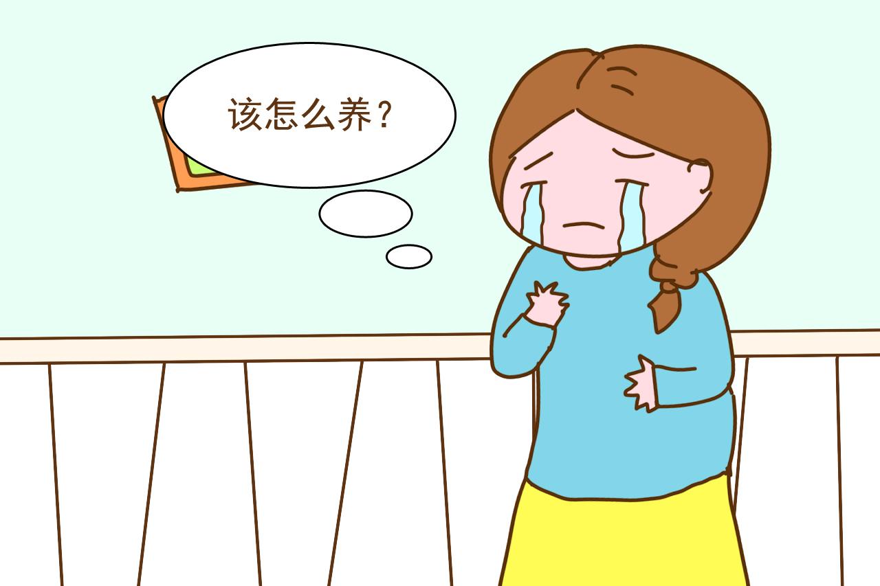 产妇意外怀二胎, 孕检时就已心情沉重, 生产后一家人快崩溃了