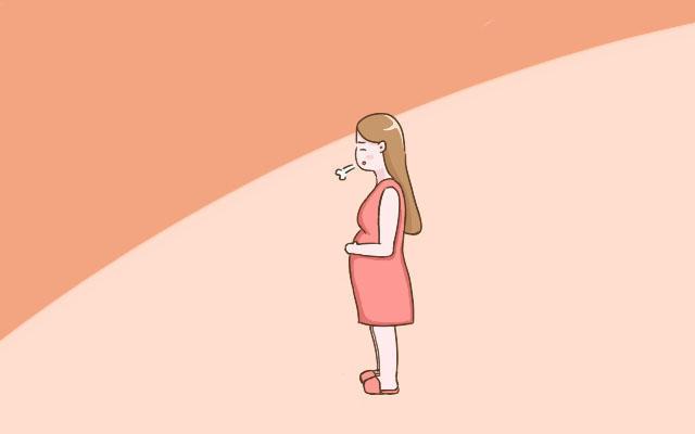 想知道自己是否属于不显怀的孕妈? 那要看看是否具备这几个特征