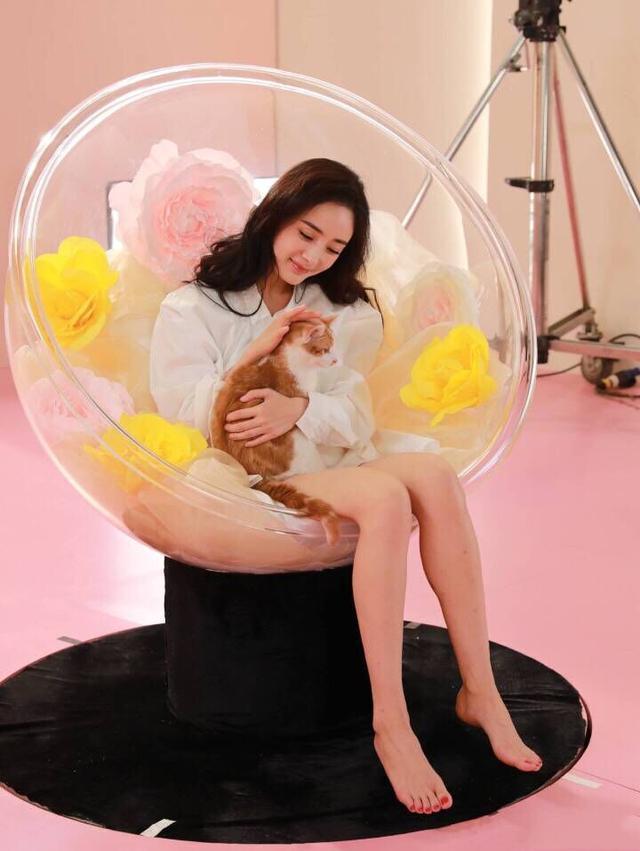 杨幂光脚逗猫玩, 网友的注意力都没在猫上