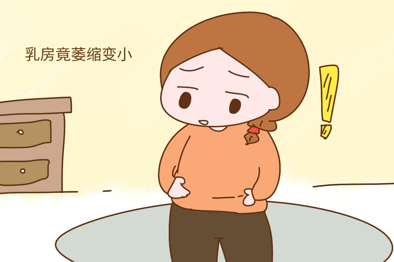 为什么断奶后乳房会变小? 有些学问你要知道