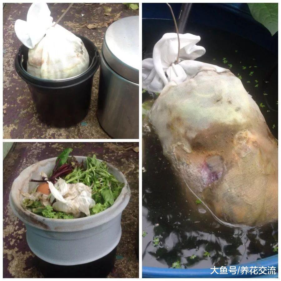 制作堆肥溶液简单的一些技巧, 注意这几点就行了