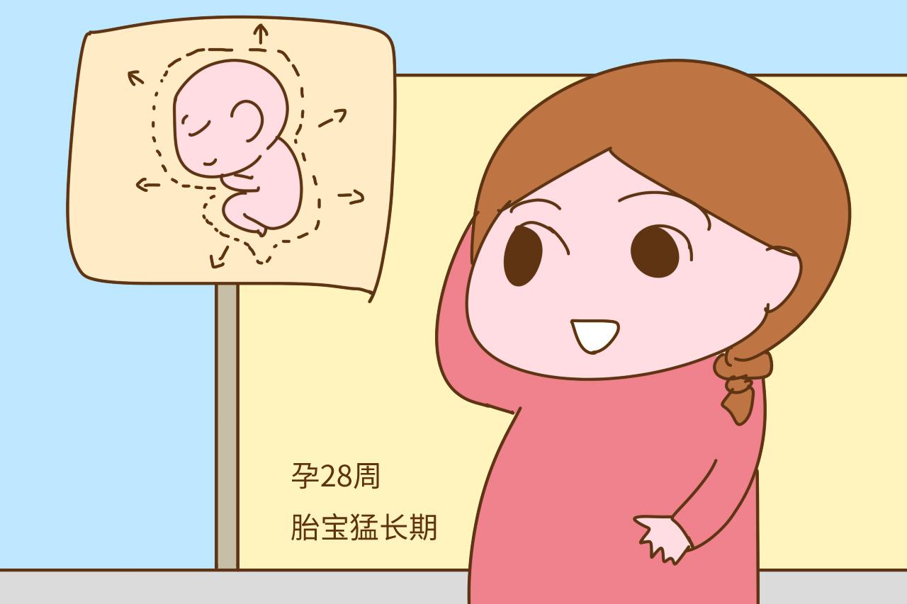 孕期补充营养轻视这两个时间段, 孕妈会变胖, 胎宝也会发育不好