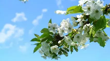 5b3946c6b72363b1683a6ca010f67429x427x240x15.webp