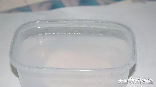 家里的花容易招虫? 那就喷点这个, 杀虫剂不用买!