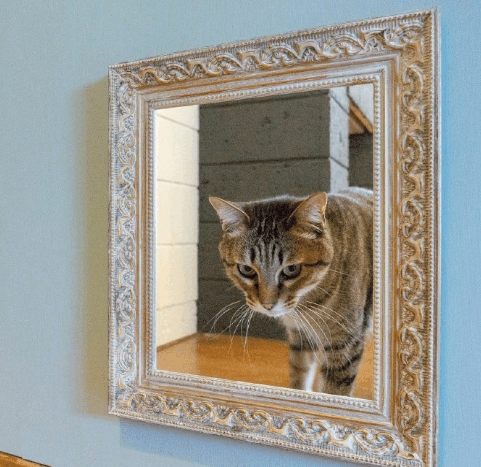 还以为是一幅油画，结果。。。。