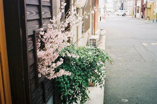 人一旦觉悟, 这十句话就有价值!