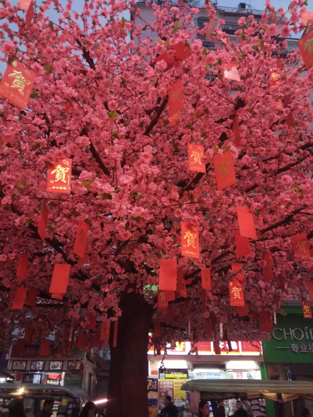 你们的婆婆都弱爆了, 我婆婆的才是腹黑可怕的婆婆