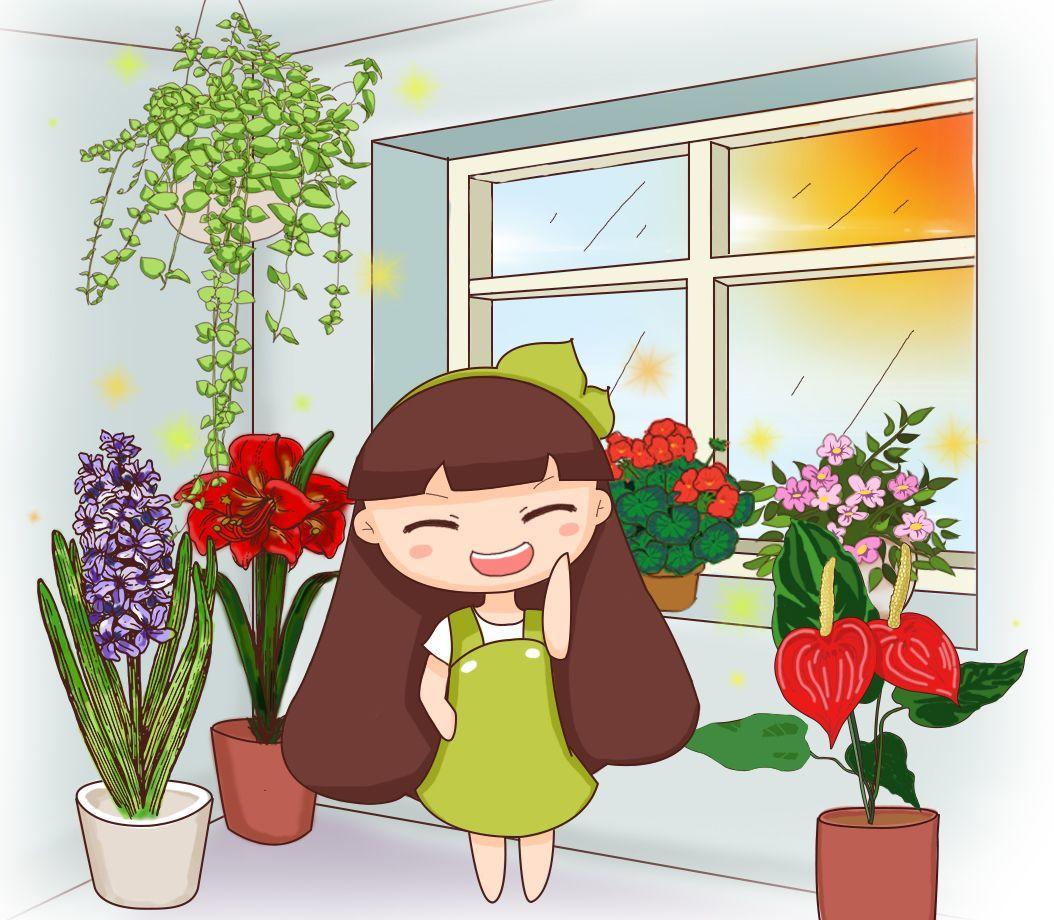 冬天就养这6种花, 满屋飘香, 比绿萝值多了!