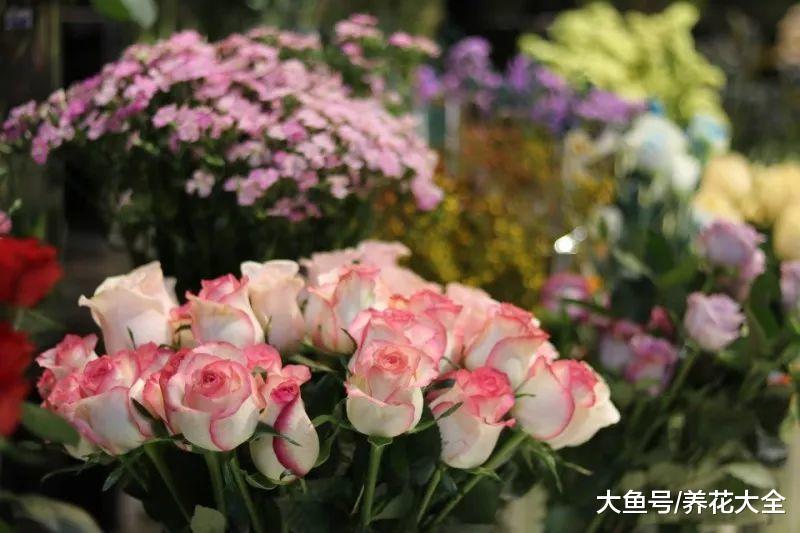 买花的时候记住这几点, 就不怕被店主坑了!