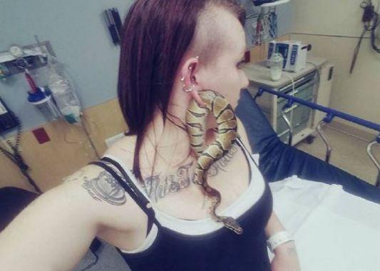 美国女子不慎被蛇穿过耳洞, 卡在耳朵动弹不得, 被送往医院求助!