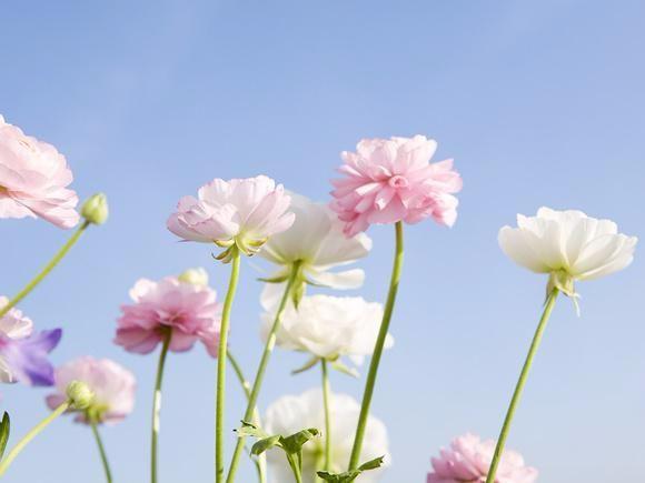 请你多看这十句话, 也许会让你成熟点吧