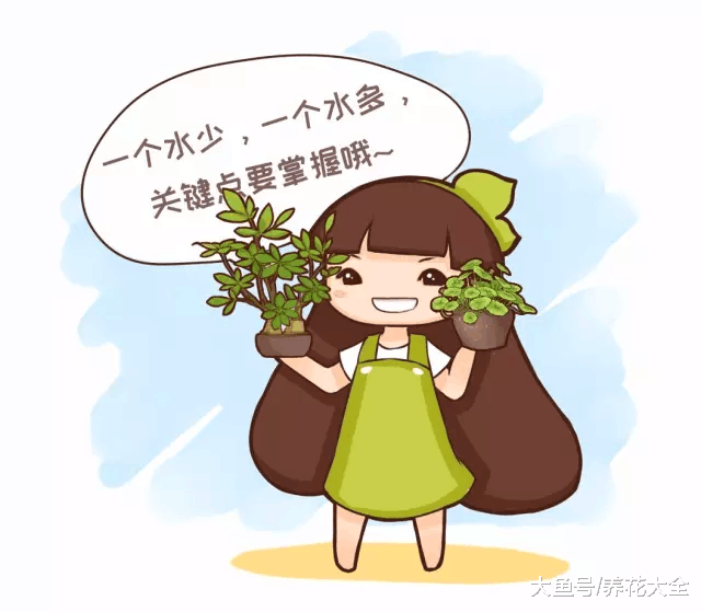 10种花的一句话口诀, 学会了, 谁都能养好花!