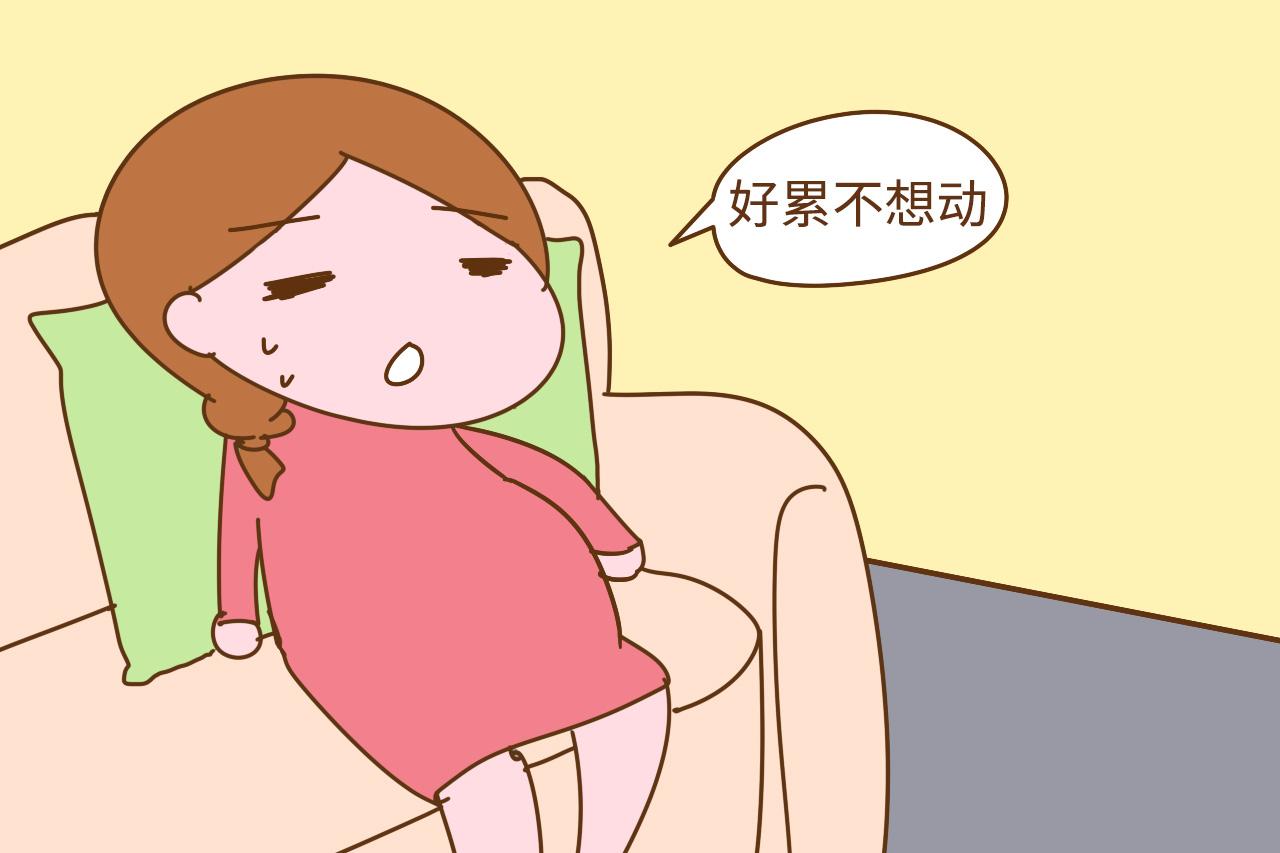 为什么女人怀孕以后易变胖? 真相你要知道, 肉都长在这些地方