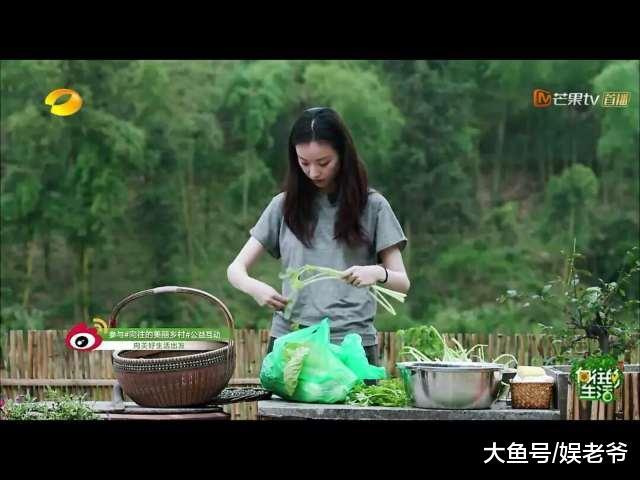 大家喷杨颖不是因为假吃, 最重要的原因居然是这个?